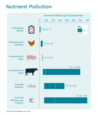 "Cultivated Meat Nutrient Impact" by WhatIsCultivatedMeat.com can be reused under the CC BY 4.0 license.