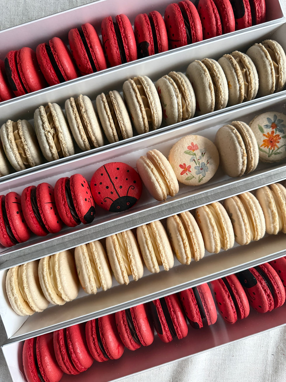 Ladybug and flower macarons.JPG