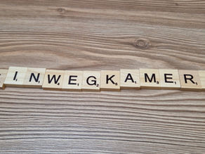 E wie Einwegkamera