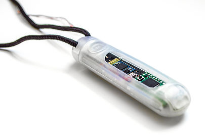 Pendant Prototype Internals.jpg