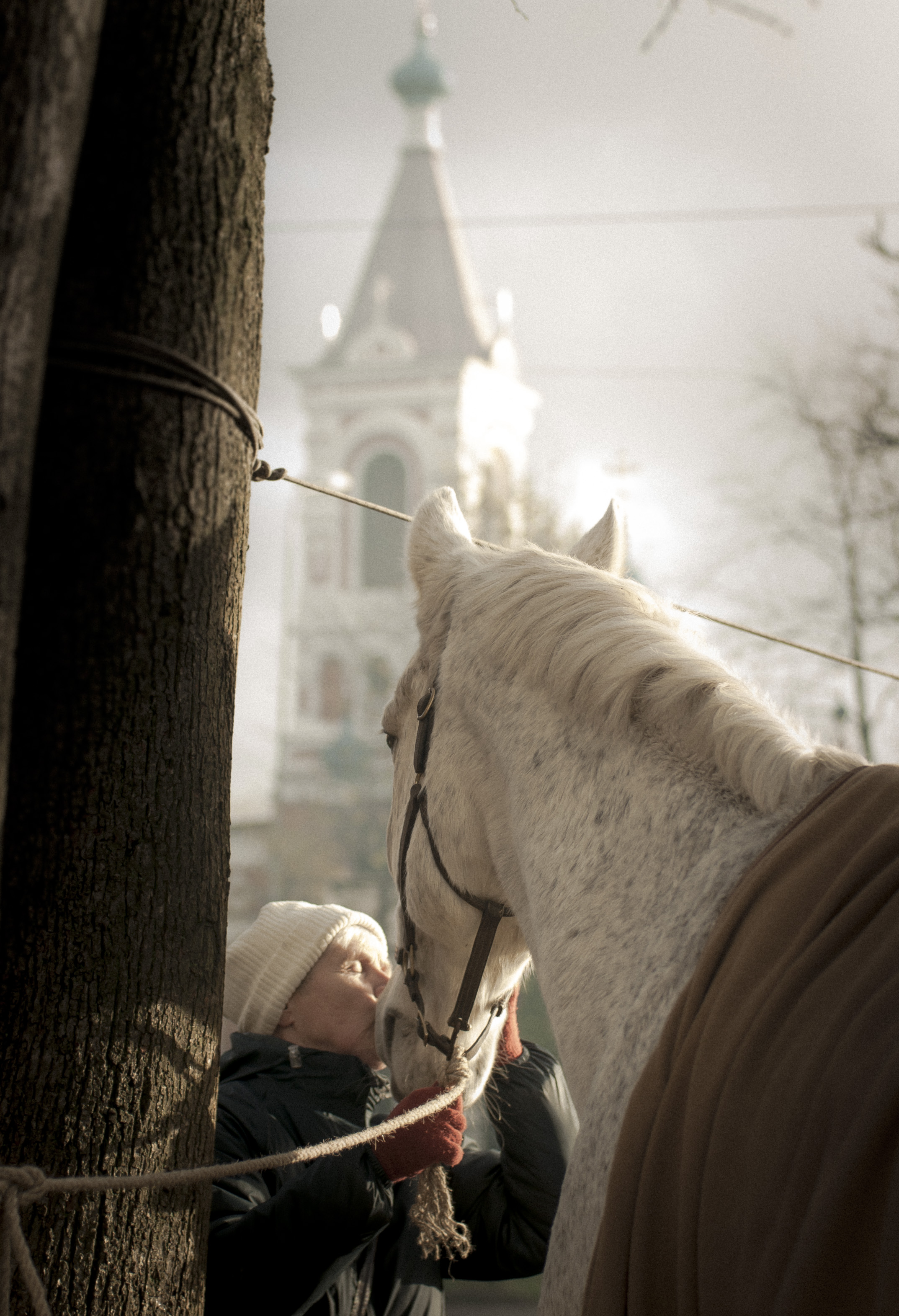 1906_market_by_day_027