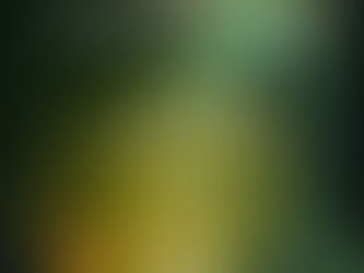 Portaltagimpulse 2026