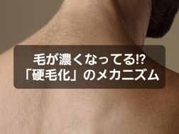 毛が濃くなってる!?硬毛化のメカニズム