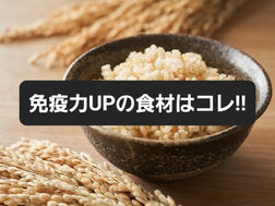 免疫力UPの食材はコレ！