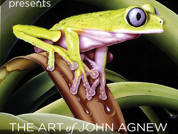 Studio Kroner Presents: The Art of John Agnew