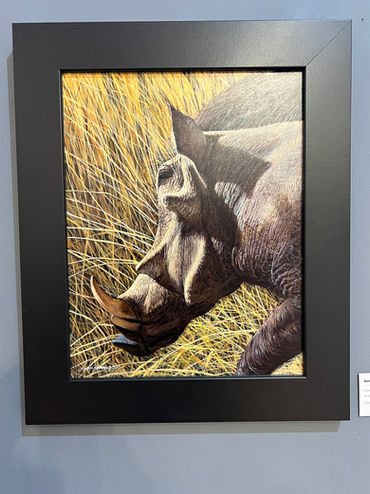 Install photos of the The Art of John Agnew show