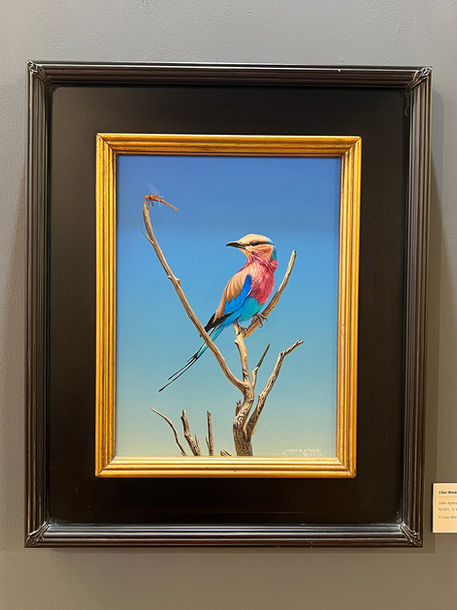 Install photos from the The Art of John Agnew show