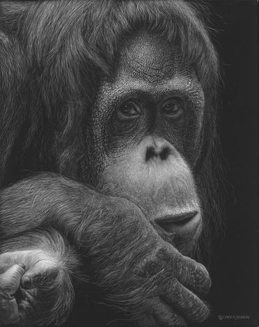 "Portrait of Bob" by John Agnew