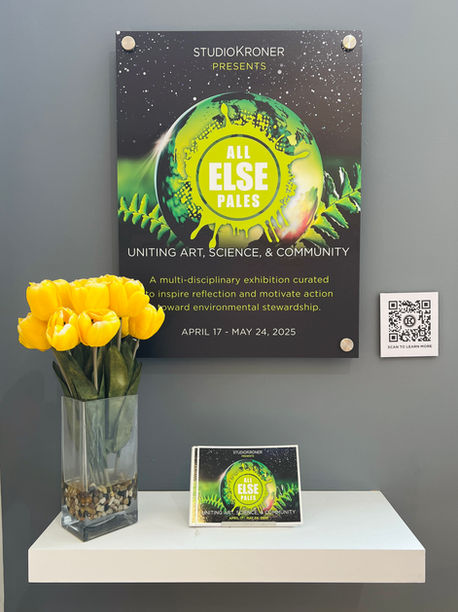 Install photos from the All Else Pales 2 Archive show