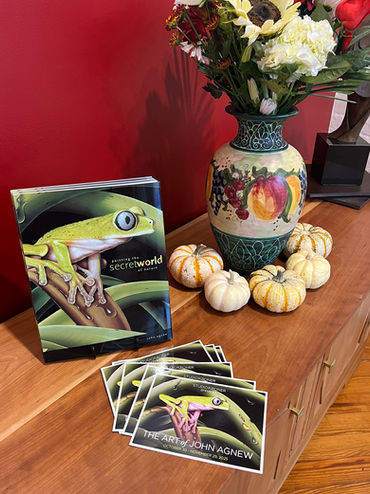 Install photos of the The Art of John Agnew show