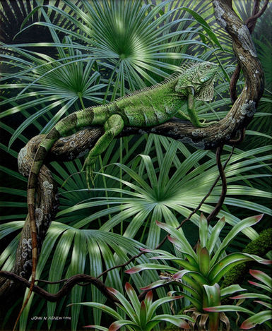 "Morning Warm Up" by John Agnew