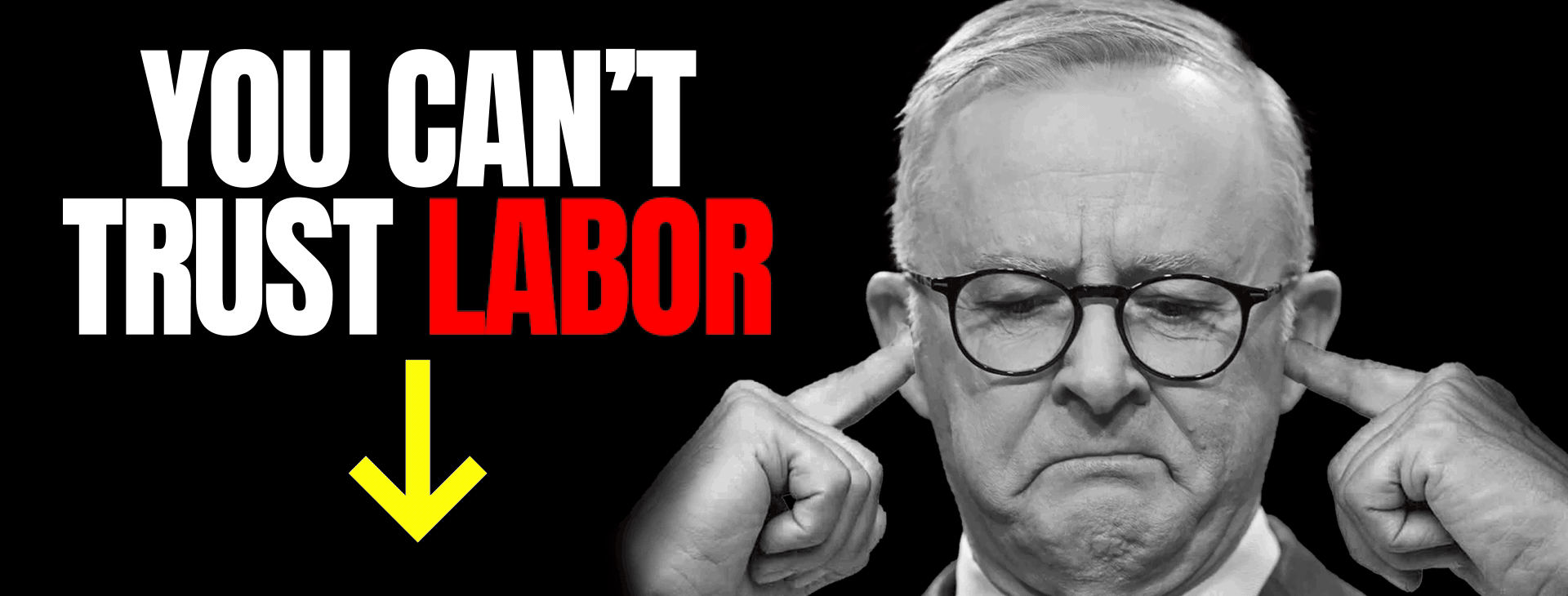 albo header gif.gif