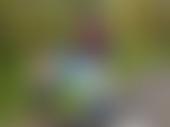 Update on Ayo!'s COVID-19 Emergency Campaign