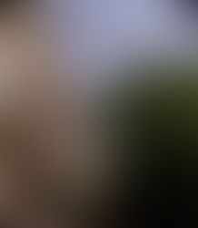 Why do we visit Armenia? - Tarra Kalian.