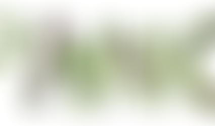 Você conhece as PANC's?