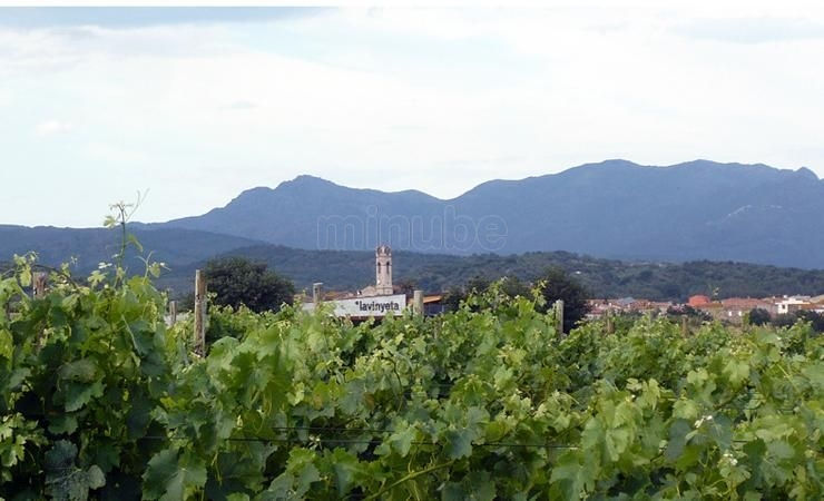 LA VINYETA 4.jpg