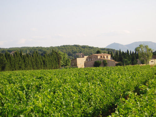 Mas Oller (Torrent) Girona.jpg