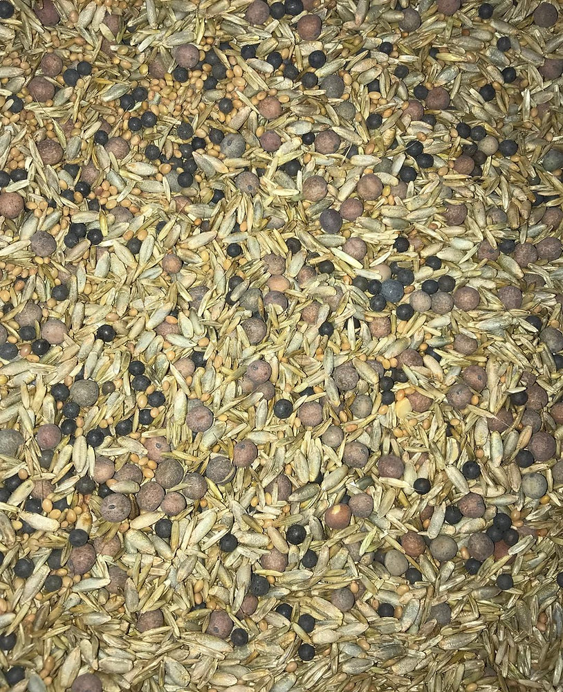 Home Garden Cover Crop Mix