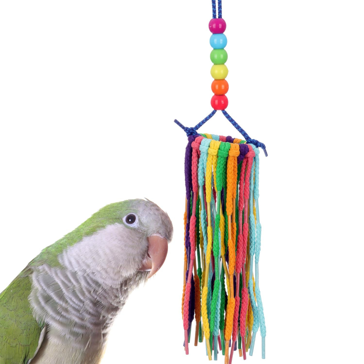 Super Bird Creations SB1202 Small Rainbow Aglets Bird Toy - Satisfies Chewing an
