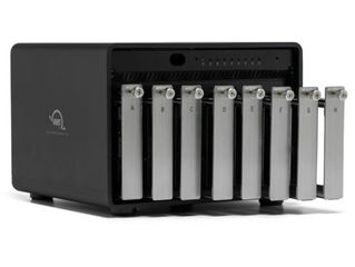 Un nouveau venu dans la famille 