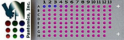 6x9.jpg