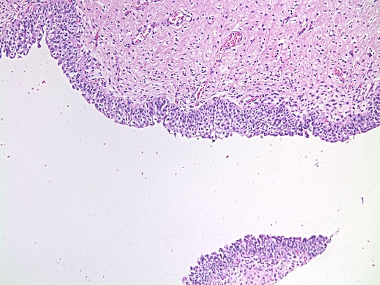 UNC241A-C02.jpg