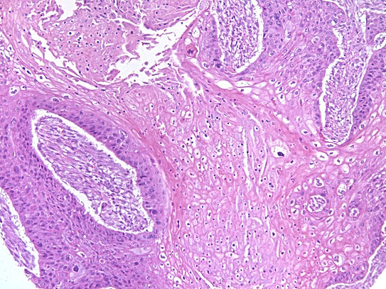 UNC241A-C02.jpg