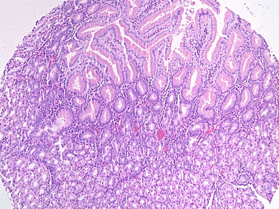 UNC241A-C02.jpg