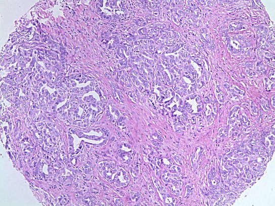 UNC241A-C02.jpg