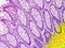 C02