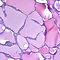 C02