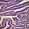B04