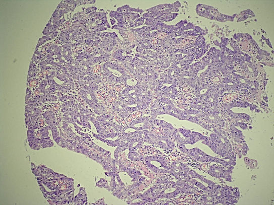 UNC241A-C02.jpg