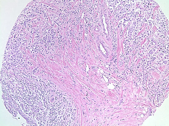 UNC241A-C02.jpg