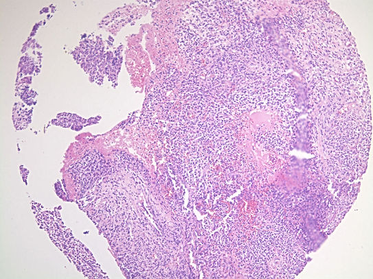 UNC241A-C02.jpg
