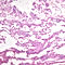 B02