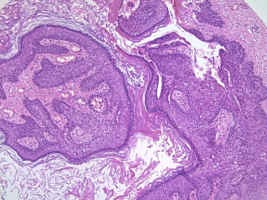 UNC241A-C02.jpg