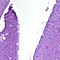 G05