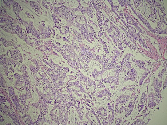 UNC241A-C02.jpg