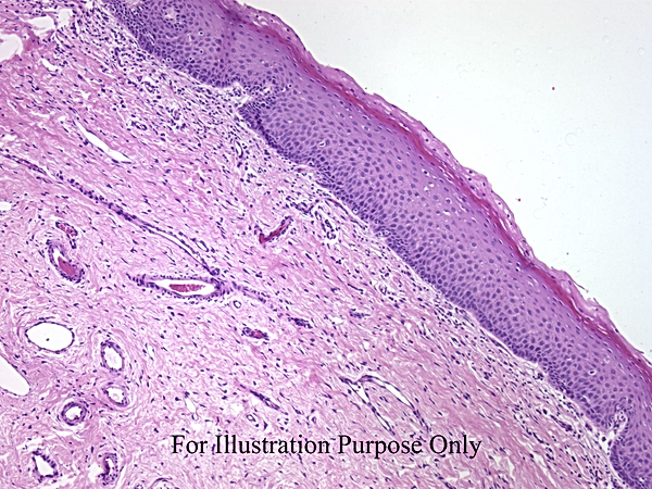 UNC241A-A02.jpg