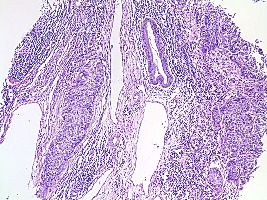 UNC241A-C02.jpg