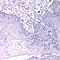 D05