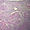 E02