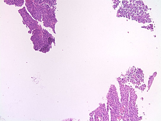 UNC241A-C02.jpg