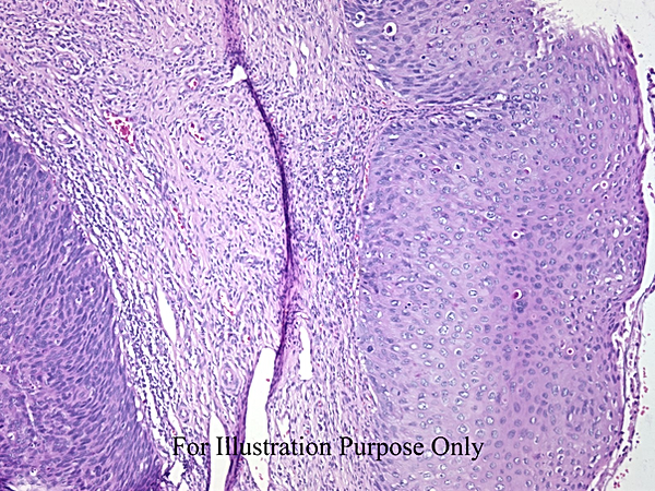 UNC241A-A02.jpg