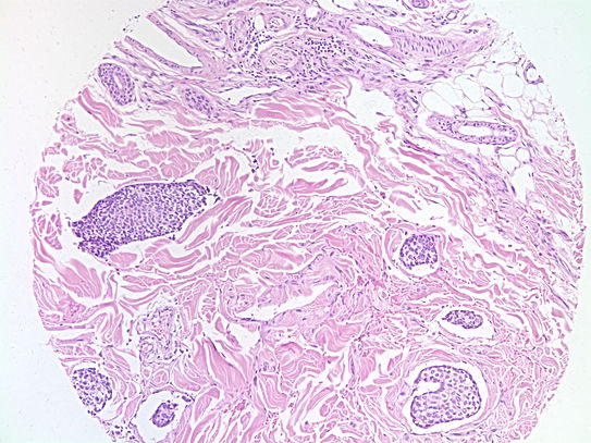 UNC241A-C02.jpg