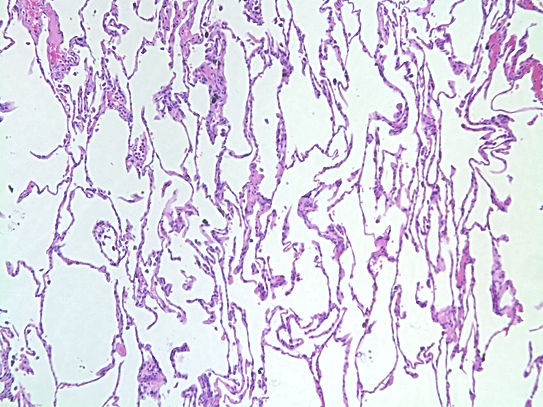 UNC241A-C02.jpg