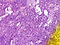 C02