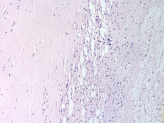 UNC241A-C02.jpg