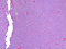 C04